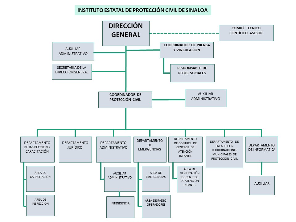 Organigrama